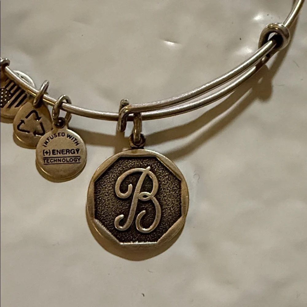 Alex and Ani Silver Initial B Charm Bracelet - Picture 2 of 3